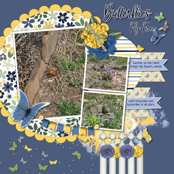 Butterflies Fly Free