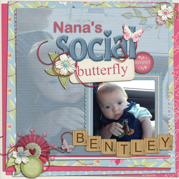 Butterflies In Bloom 1