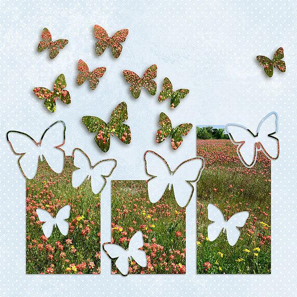 Butterflies in Flight