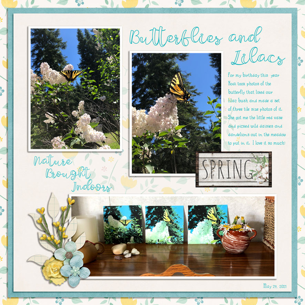 BUTTERFLIES + LILACS