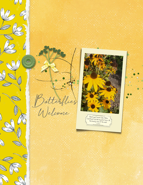 Butterflies Welcome