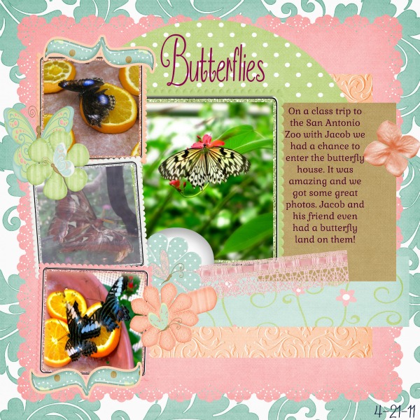 Butterflies