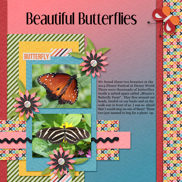 Butterflies