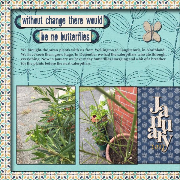 Butterflies