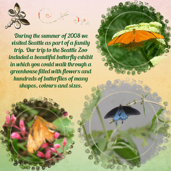 Butterflies