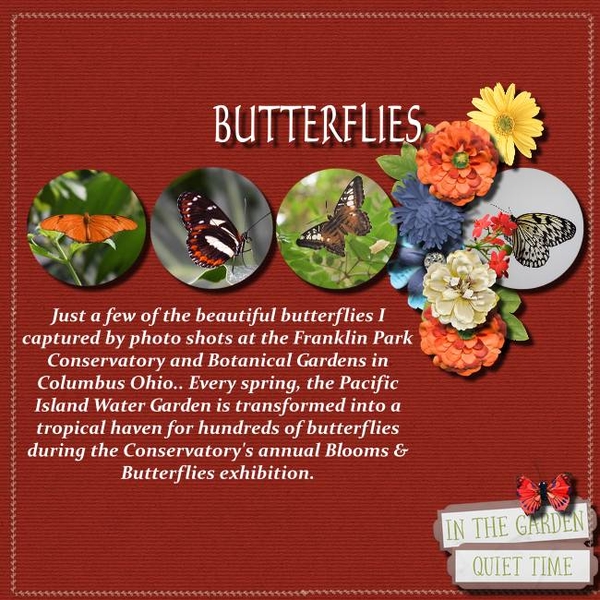 Butterflies
