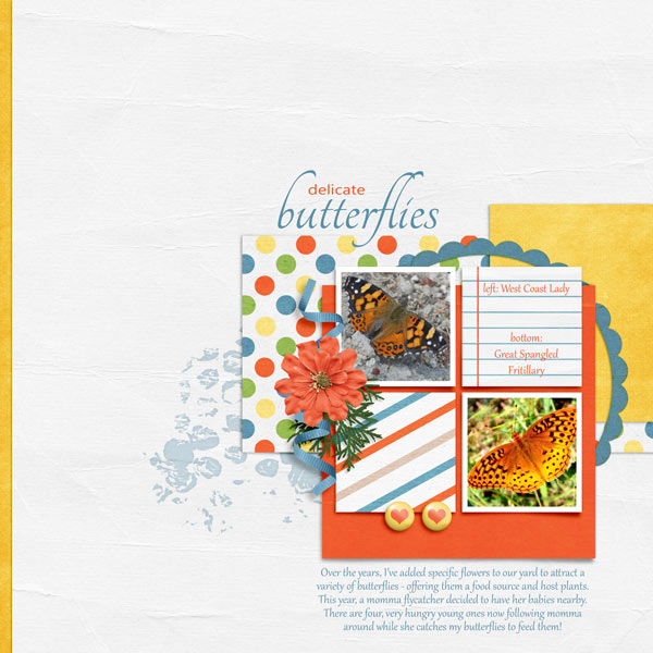 Butterflies
