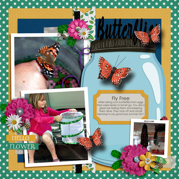 Butterflies