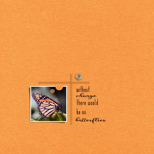 butterflies