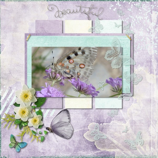 Butterflies