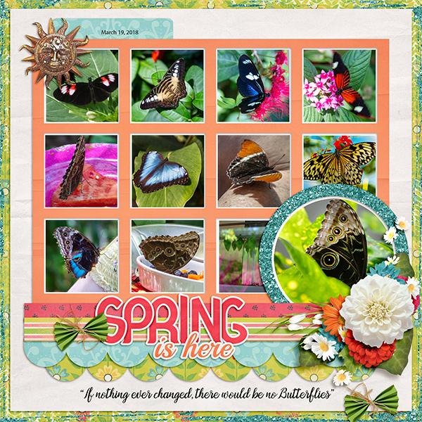 Butterflies