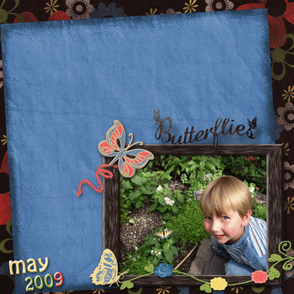 Butterflies