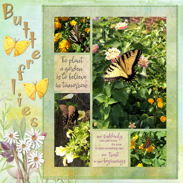 Butterflies