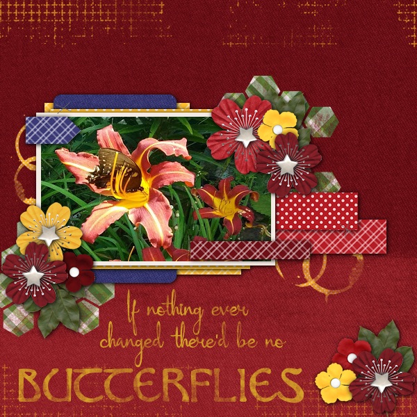 Butterflies