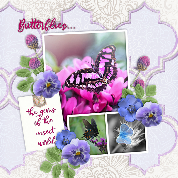 Butterflies...