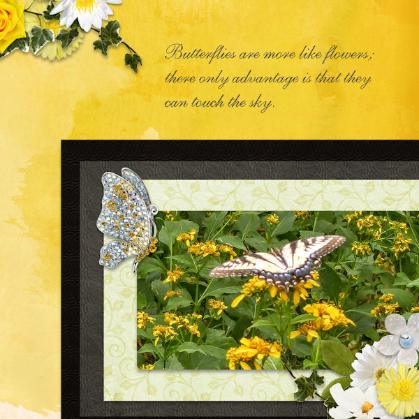 Butterflies