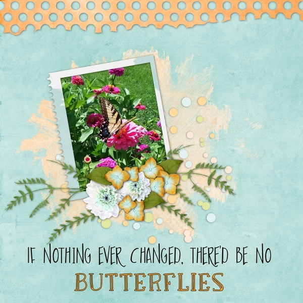 Butterflies