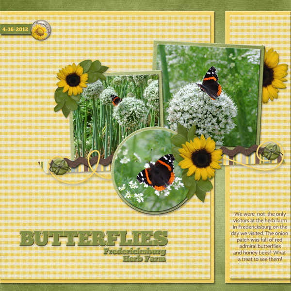 Butterflies