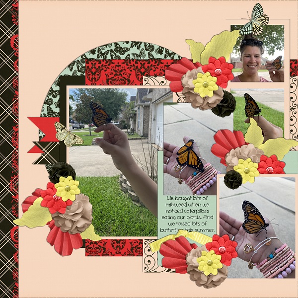 Butterflies