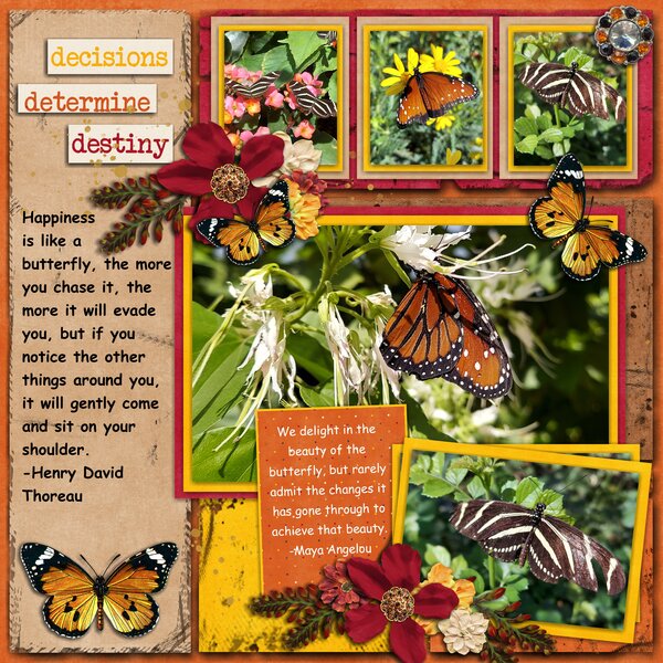 Butterflies