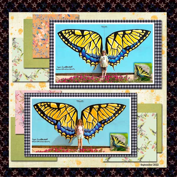 Butterflies!