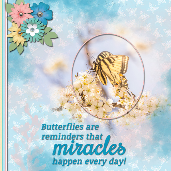 Butterflies