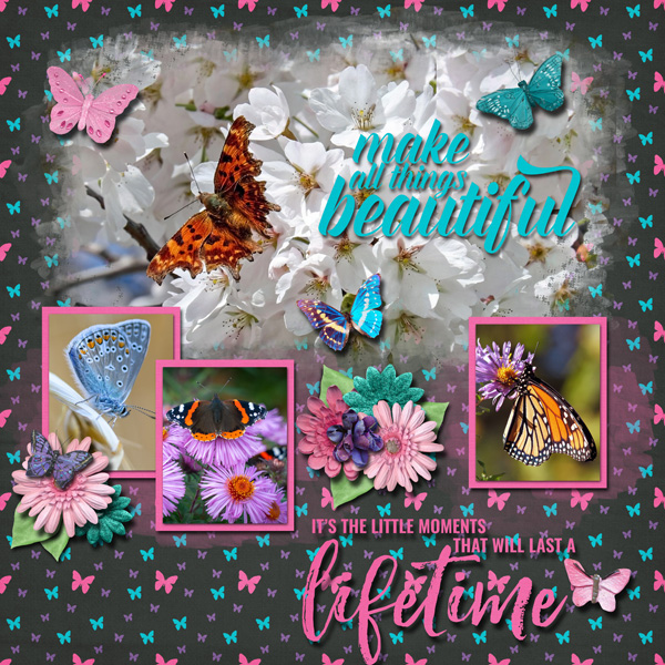 Butterflies