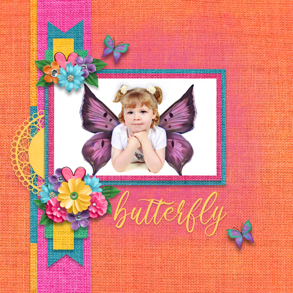 Butterflies