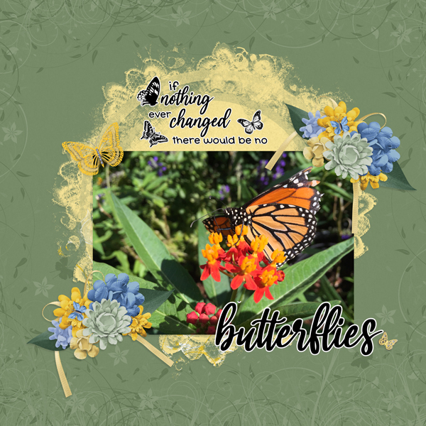 Butterflies