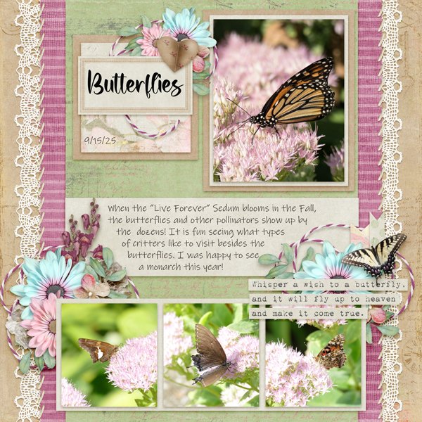 Butterflies