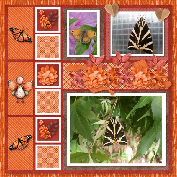 Butterflies