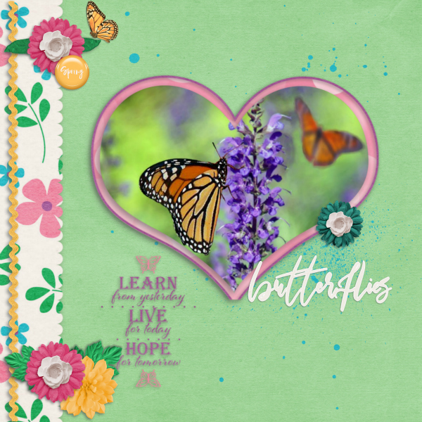 Butterflies10