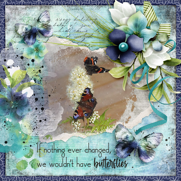 Butterflies13