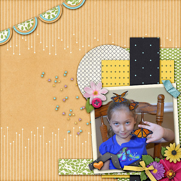butterflies_gallore