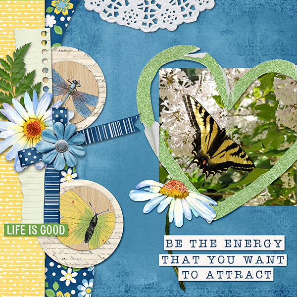 Butterfly Beauty