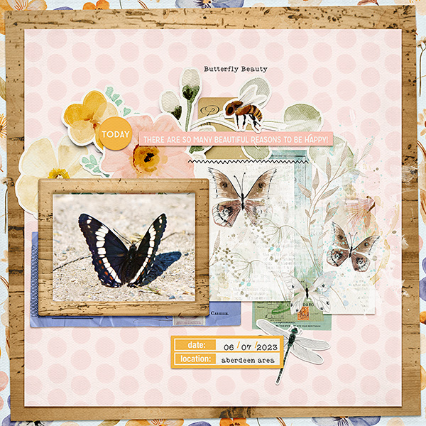 Butterfly Beauty