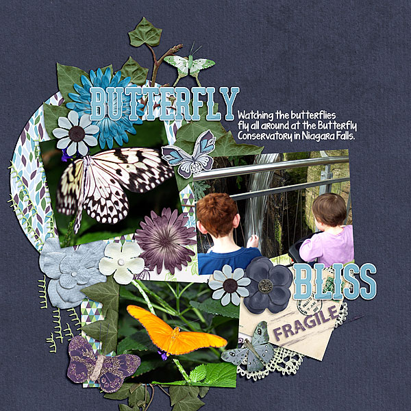 Butterfly Bliss