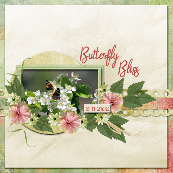 Butterfly Bliss