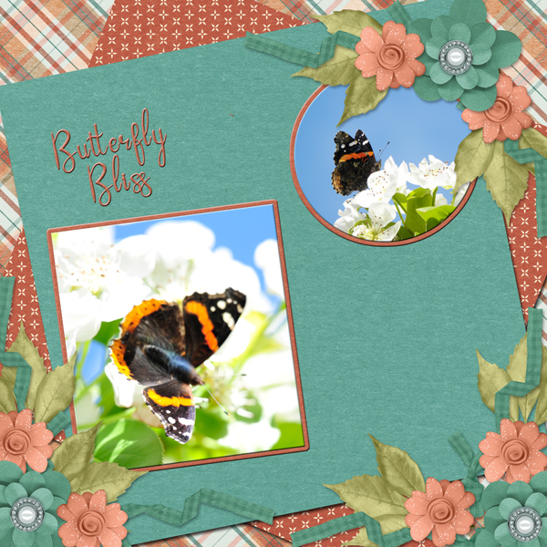 Butterfly bliss
