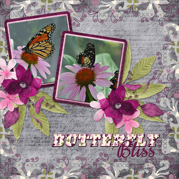 BUTTERFLY BLISS