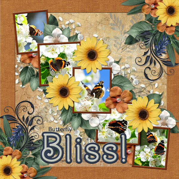 Butterfly Bliss!