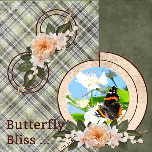 Butterfly Bliss
