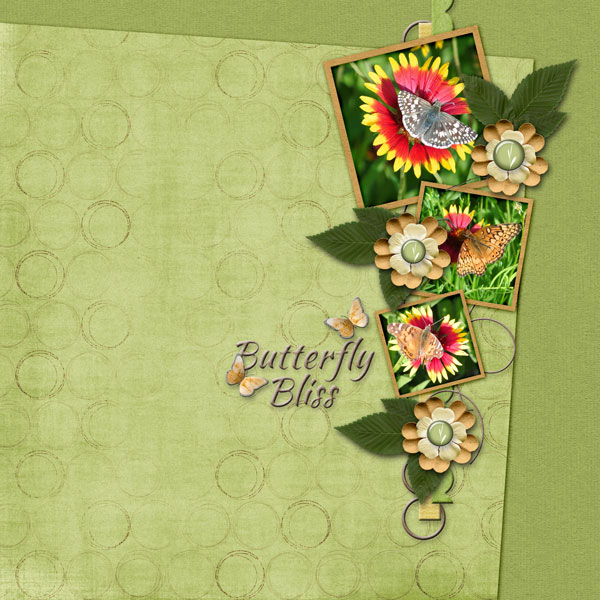 Butterfly Bliss