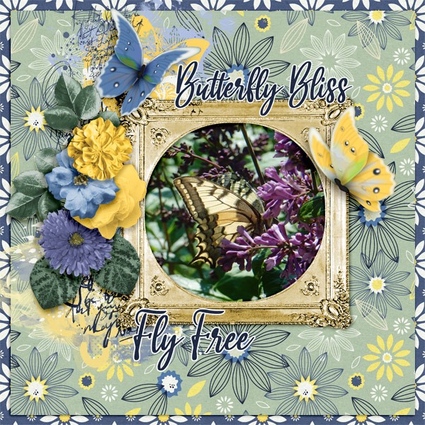 Butterfly-bliss