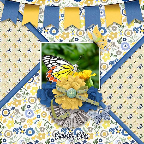 Butterfly Bliss