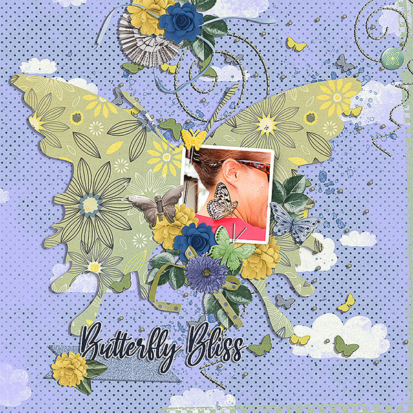 butterfly bliss
