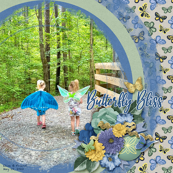 Butterfly Bliss