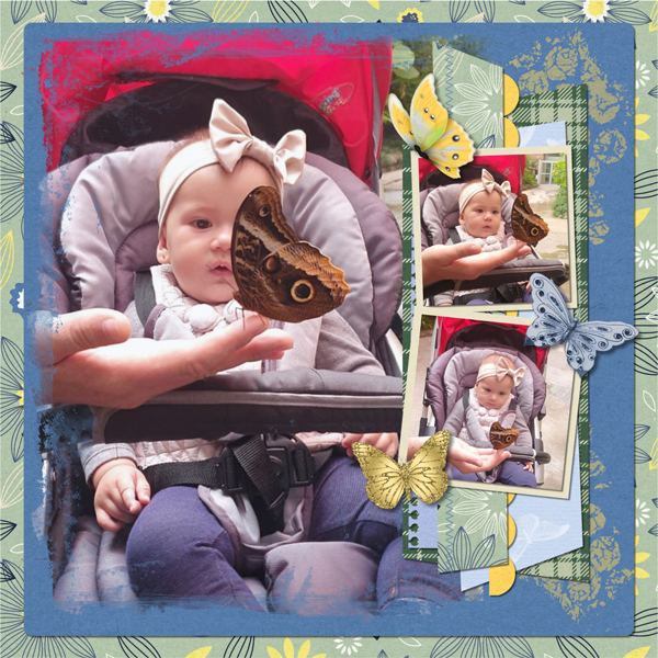 Butterfly Bliss