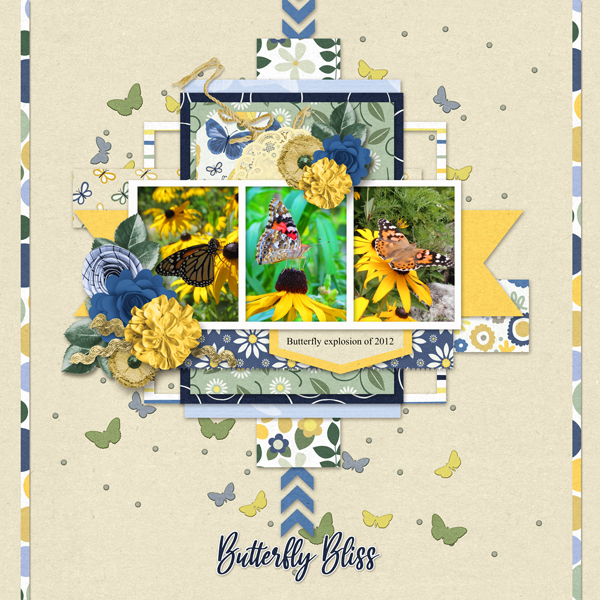 Butterfly Bliss