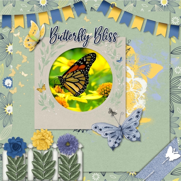 Butterfly Bliss
